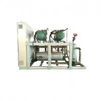 比澤爾高溫螺桿兩并聯(lián)機組 NLBG2-50【凝新】